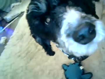 sweetestsavannah every day cam