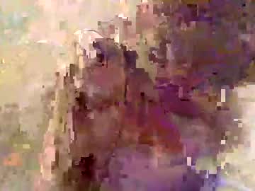 angelak19 every day cam