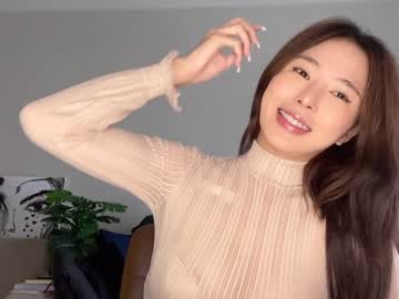 girl burmilla1 image #2568358