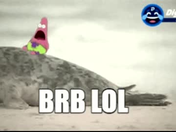 girl mia_elfie image #1714129