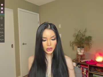_a_p_r_i_c_i_t_y_ every day cam