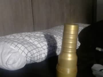 thelincolngrey every day cam