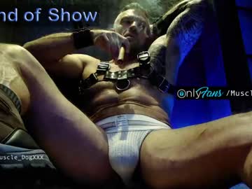 man muscle_dog image #32219