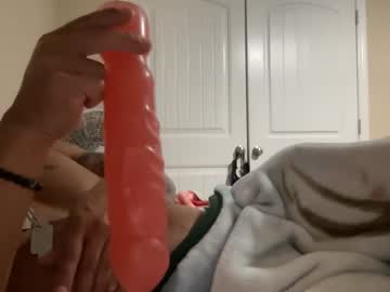 dmajor1111 every day cam