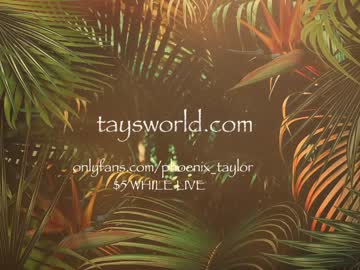girl phoenix_taylor image #2975903