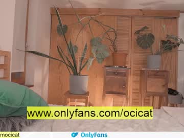 girl ocicat image #2422741