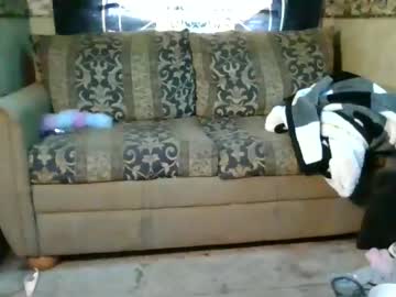 veronicaspalace every day cam