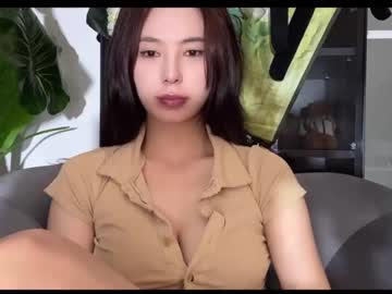 girl burmilla1 image #2046060