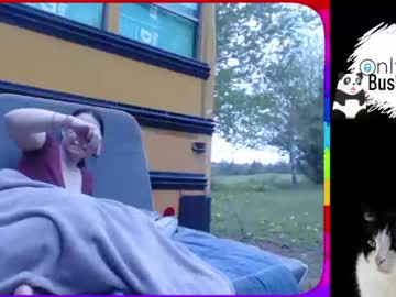 couple busbuddies image #1860085