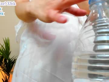 picky_cat every day cam