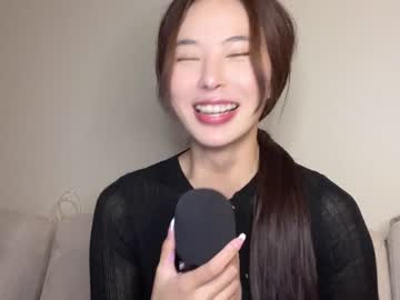 girl burmilla1 image #2356533