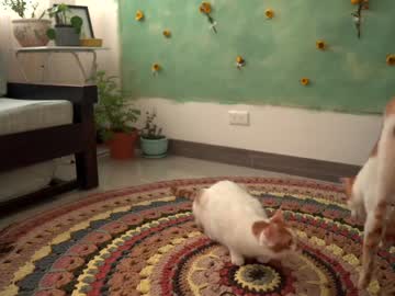girl maria_alfonsina image #2133240