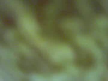 rickyandluucy every day cam