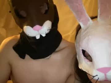 easterhunny every day cam