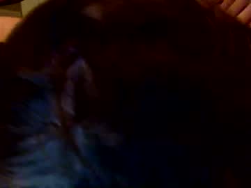 2_2_tango every day cam