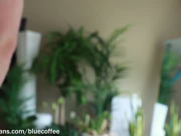 man bluecoffee image #2293013