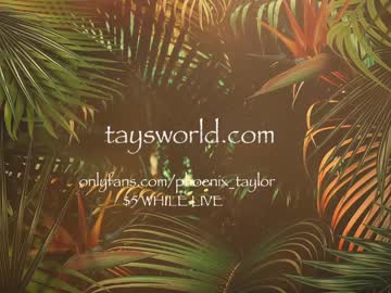 girl phoenix_taylor image #2982703