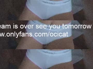 girl ocicat image #3357491