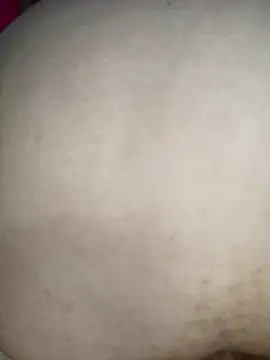 Stripchat sex cam Ahri_Revoltada