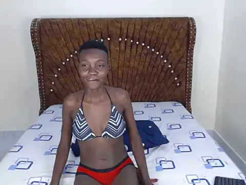 Stripchat sex cam lady_price